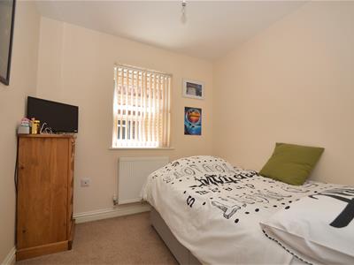 Picture 15